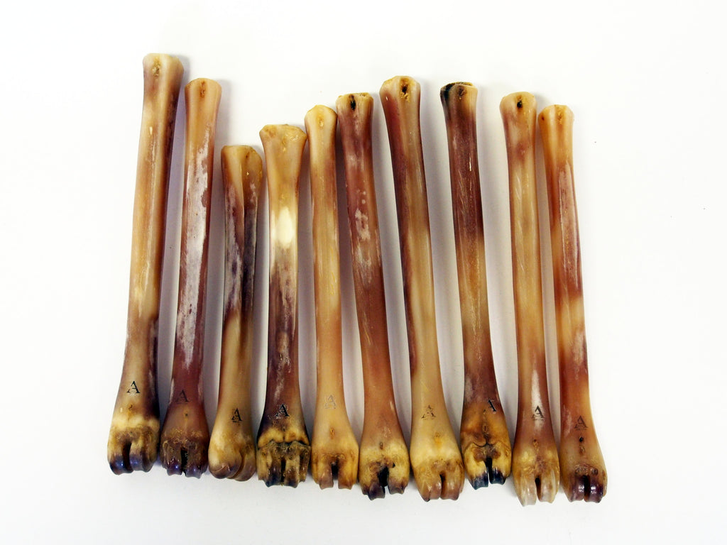 Abbeyhorn Deer Polishing Bone Selekt Supply